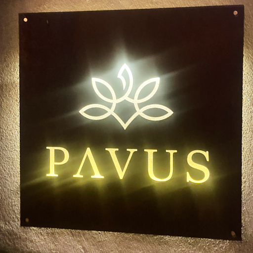 Pavus